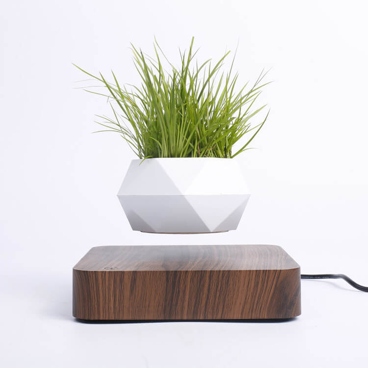 Levitating Air Bonsai Pot Desktop Flower Pot Garden Planter Indoor