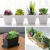 Anoak Artificial Succulent Plants - 16 Pcs Set Faux Succulents Unpotted Fake Succulent Plants, Premium Crafting DIY Floral Decor for Home Garden Office Party (High Realistic )