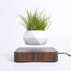 Levitating Plant Pot