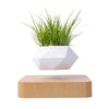 Levitating Plant Pot