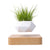 Levitating Plant Pot