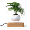 Levitating Plant Pot