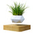 Levitating Plant Pot